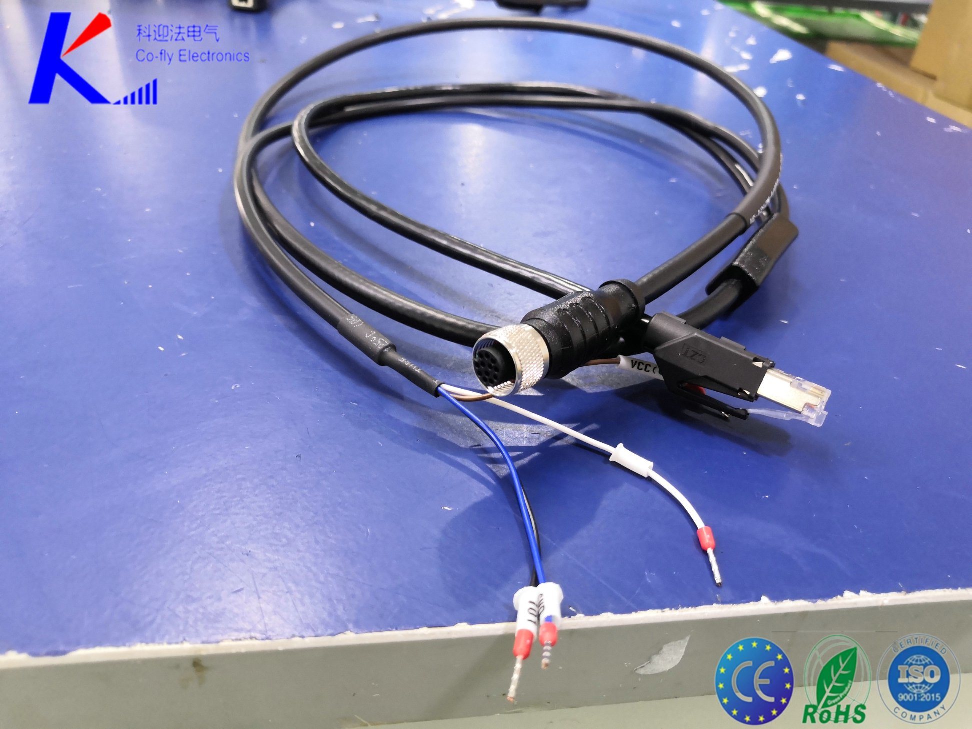 M12 12pin Female Straight to Y Type Spli