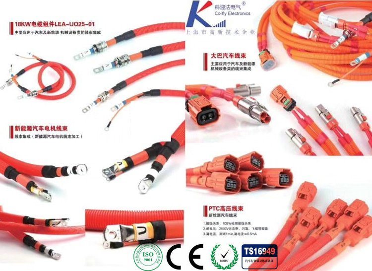 18kw Cable Components/New Energy Vehicle